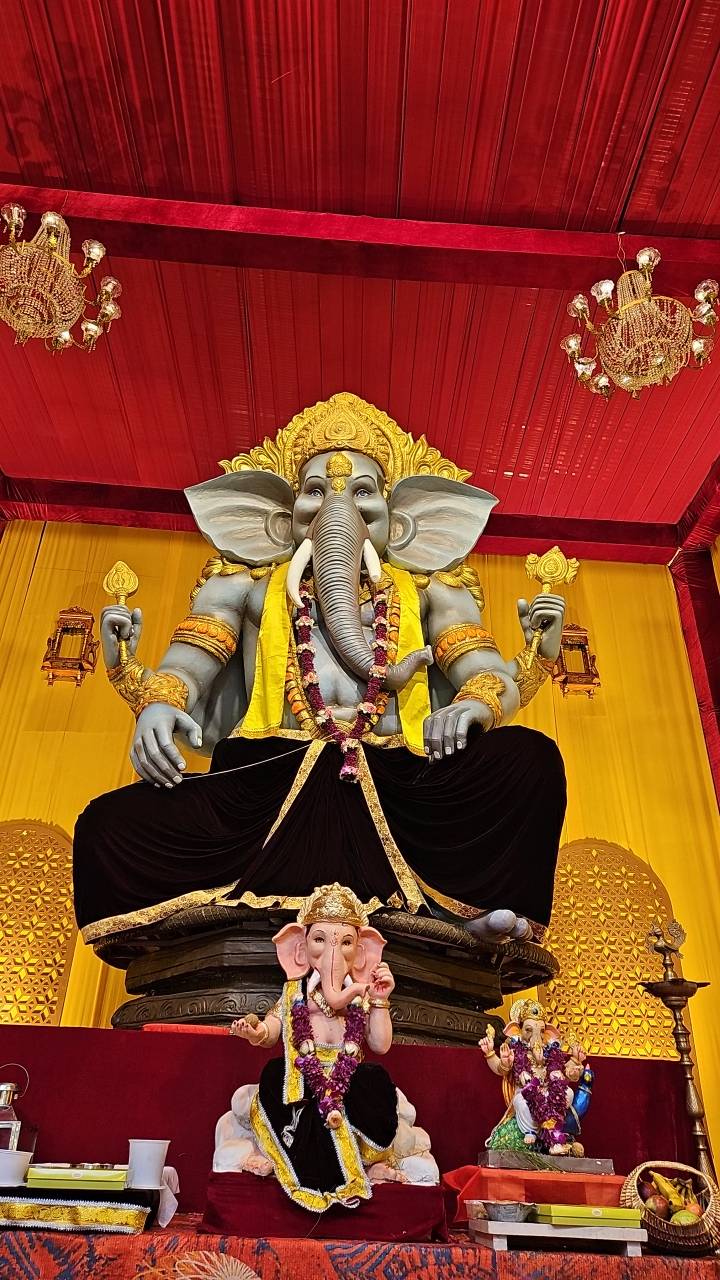 Joggers Na Bappa
