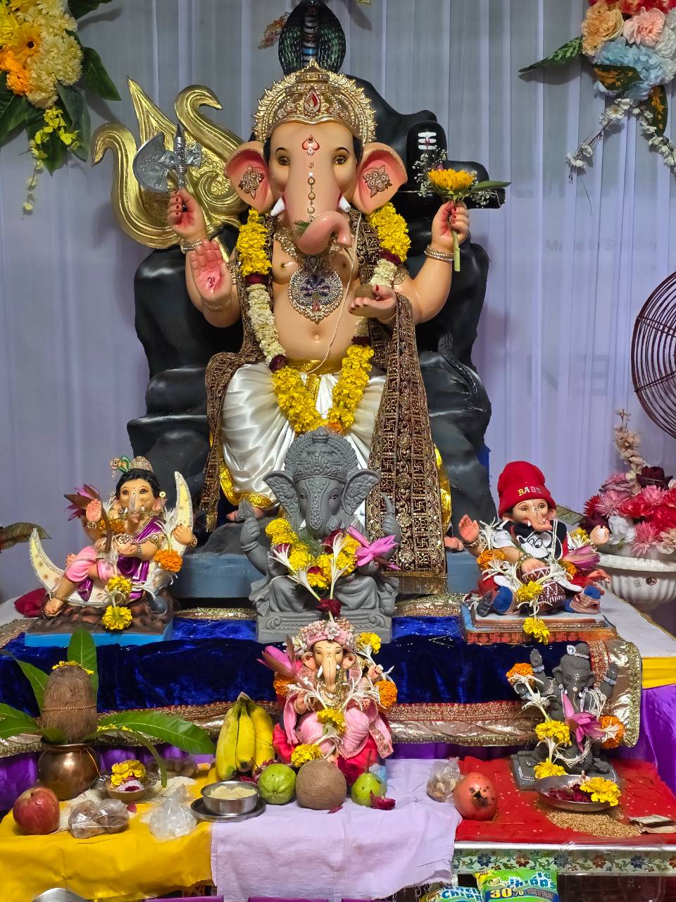 Svaym Group